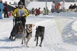 Lenk 2012 SM